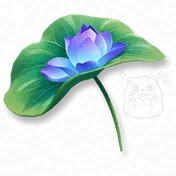 Sunshade Water Lily