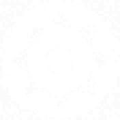 Pupils 6
