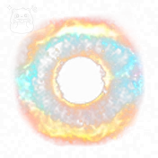 Pupils 16