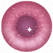 Pupils 17
