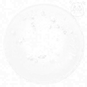 Pupils 18
