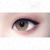 Eye Makeup 14