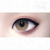 Eye Makeup 17