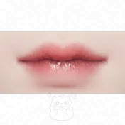Lip Makeup 4