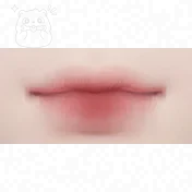 Lip Makeup 5