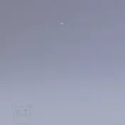 Gray Background