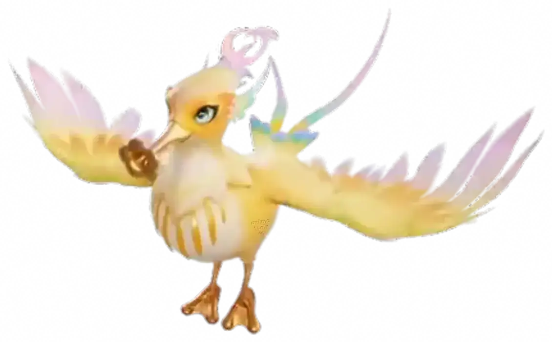 Cornet